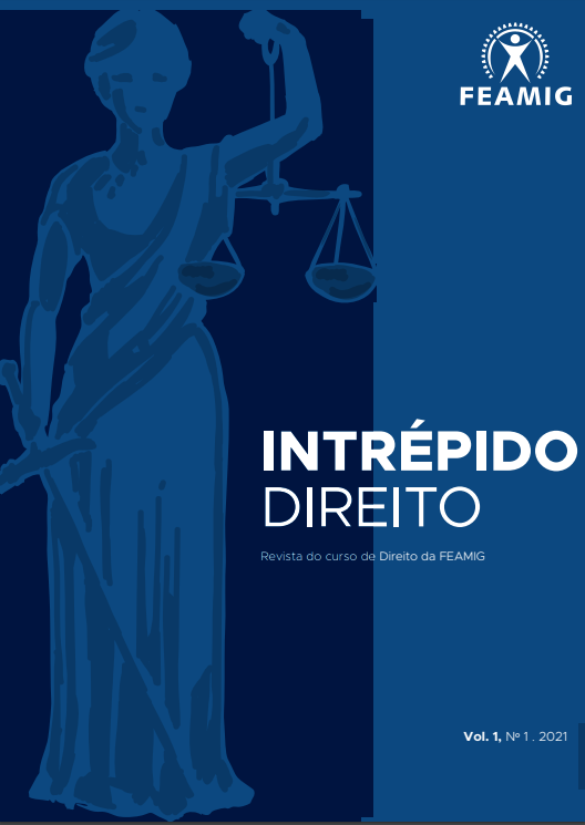 					View Vol. 1 No. 1 (2021): Revista Intrépido Direito
				